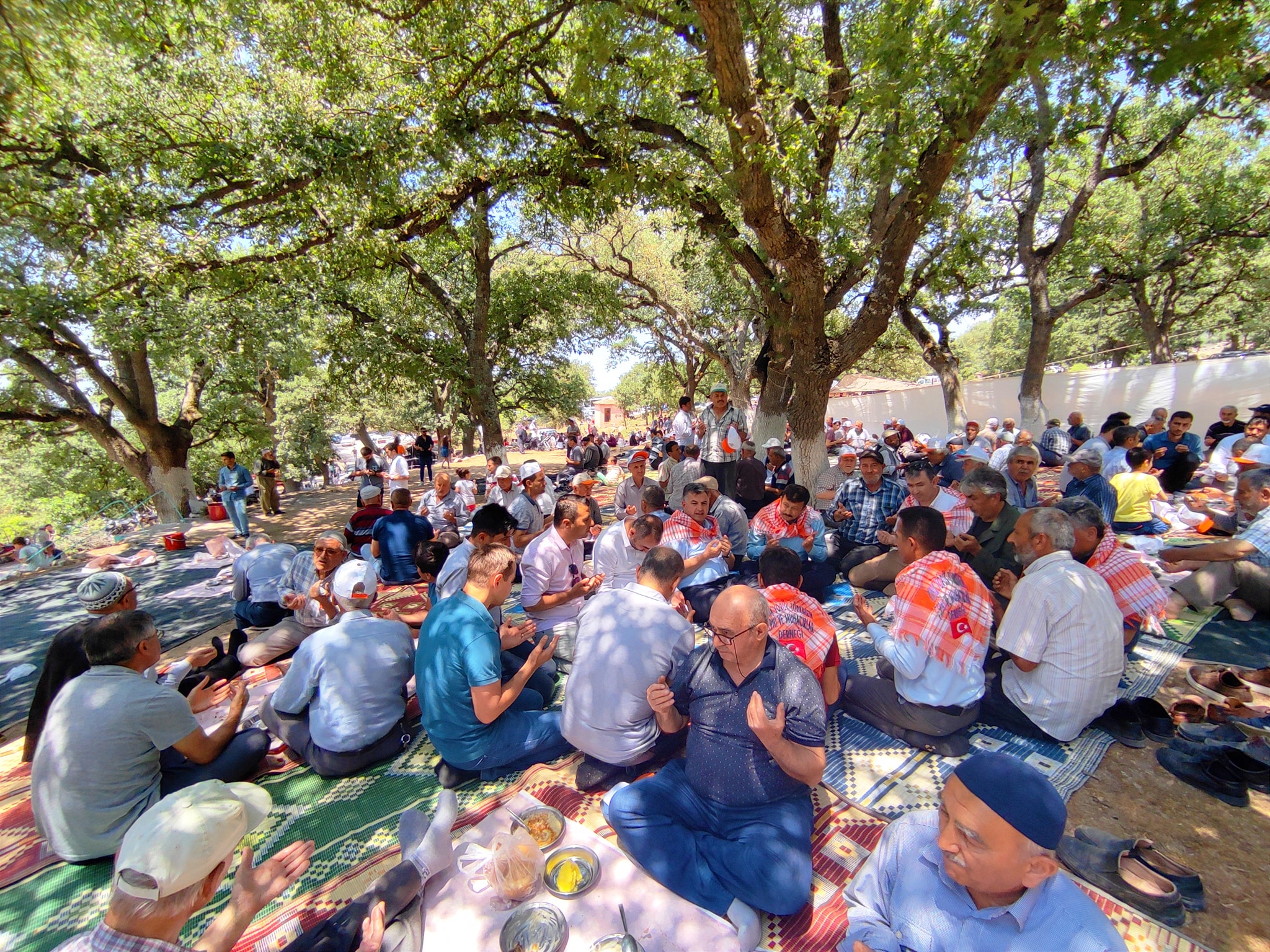 AK Partili Dağ, Kınık’ta üreticilerle birlikte kiraz topladı