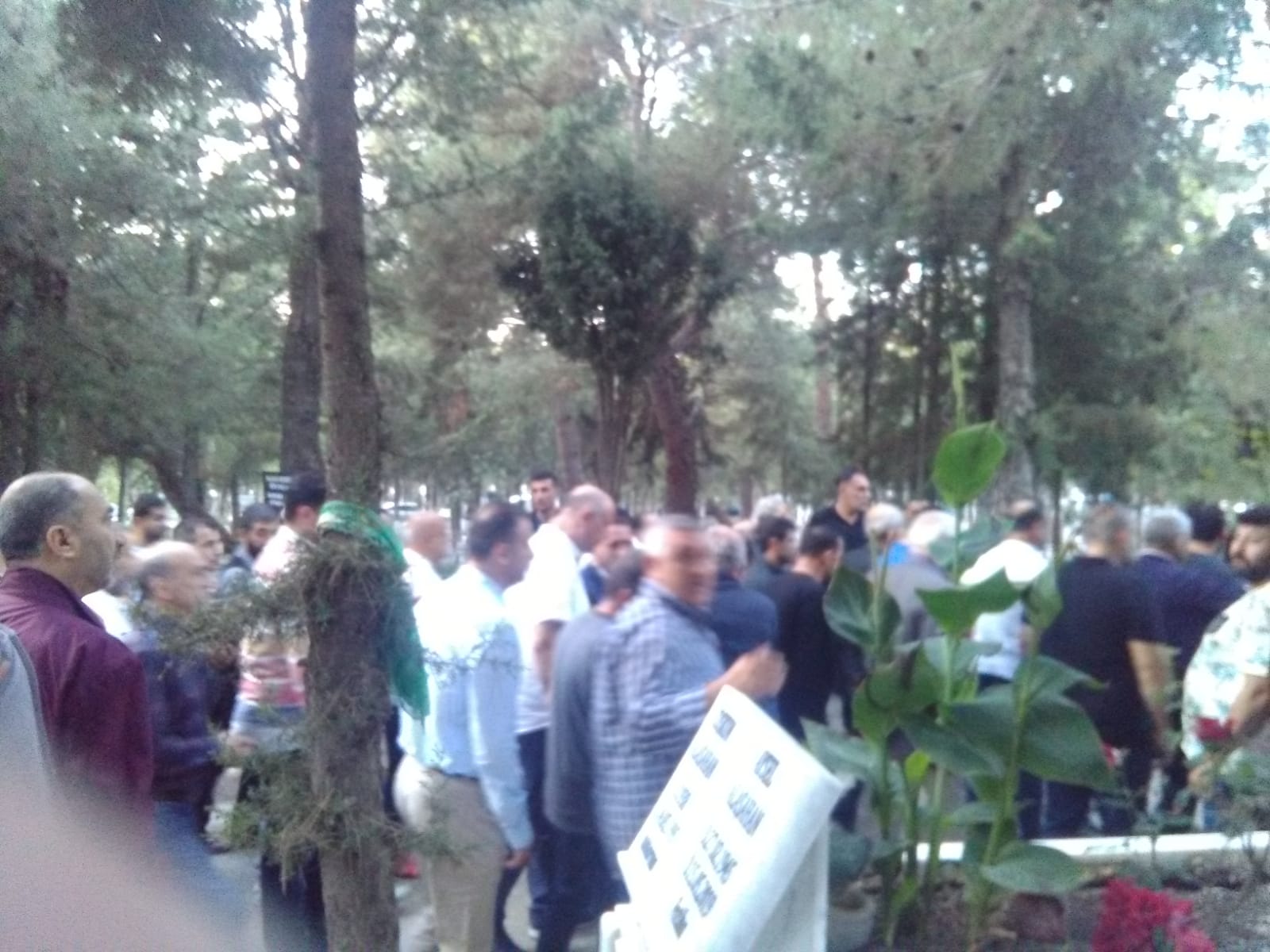 Salih Erkek Yazdı...