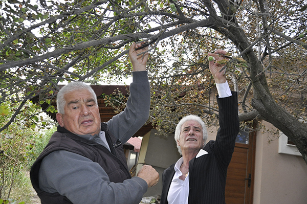 Göz göre göre zehirleniyorlar