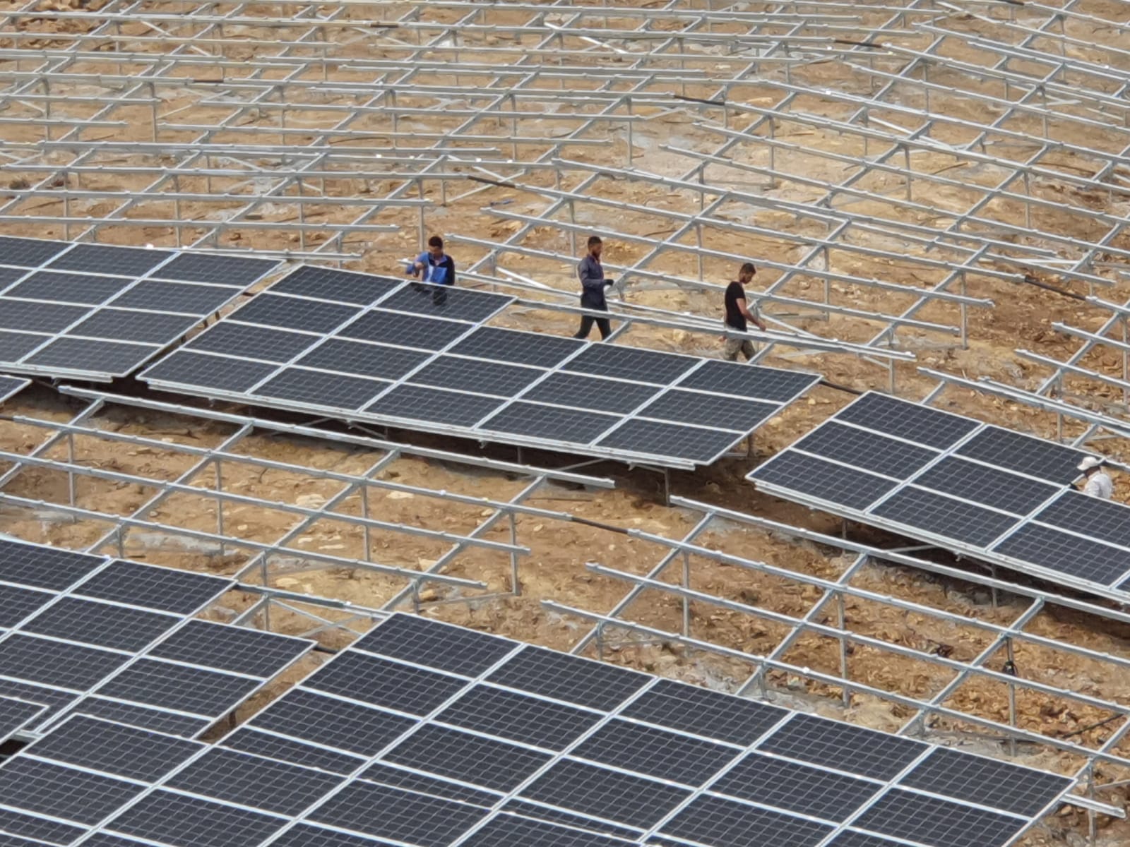 Salih Erkek Yazdı... DEVLET BAHÇELİ'Yİ DAVET EDİYORUM