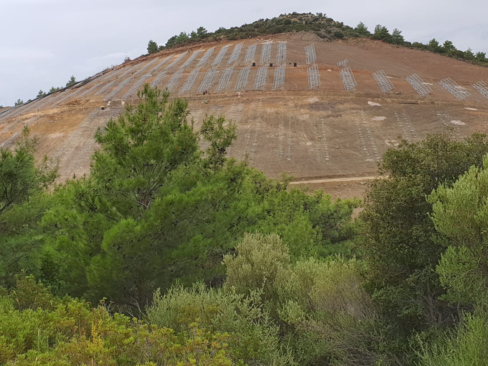 Salih Erkek Yazdı... DEVLET BAHÇELİ'Yİ DAVET EDİYORUM