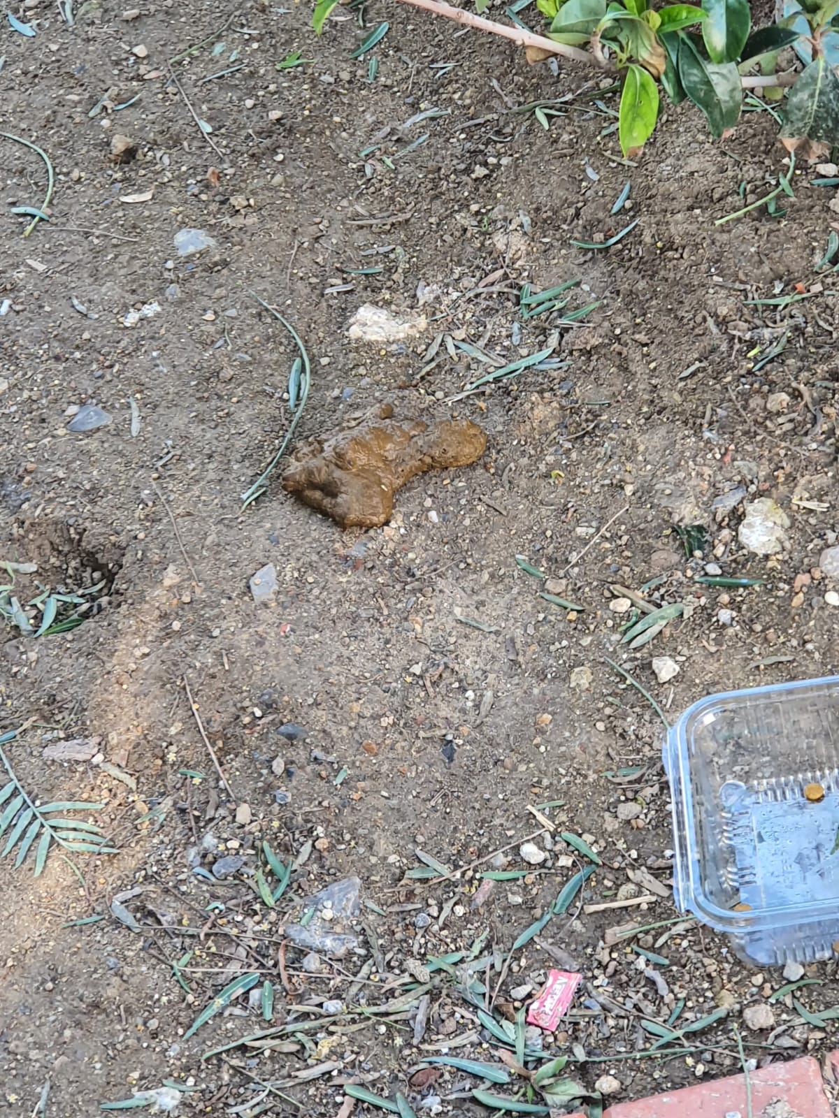 Salih Erkek Yazdı...