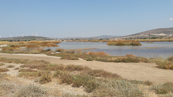 ALAÇATI DOĞA TURİZMİNDE DE İDDİALI