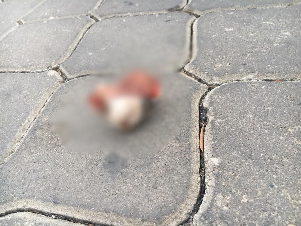 Bunu yapan insan olamaz...