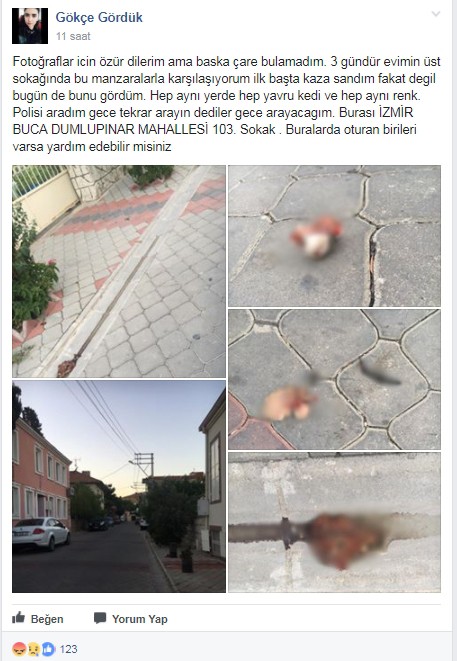 Bunu yapan insan olamaz...