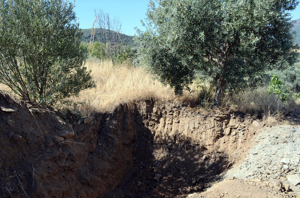 Korkunç itiraf: "Öldürüp zeytinlik alana gömdüm"