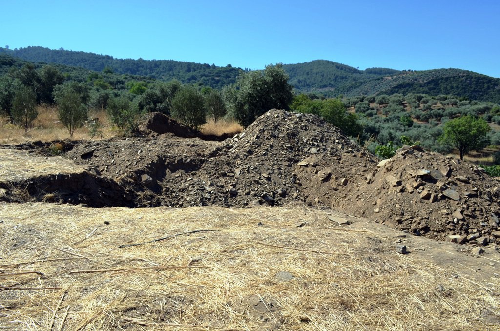 Korkunç itiraf: "Öldürüp zeytinlik alana gömdüm"