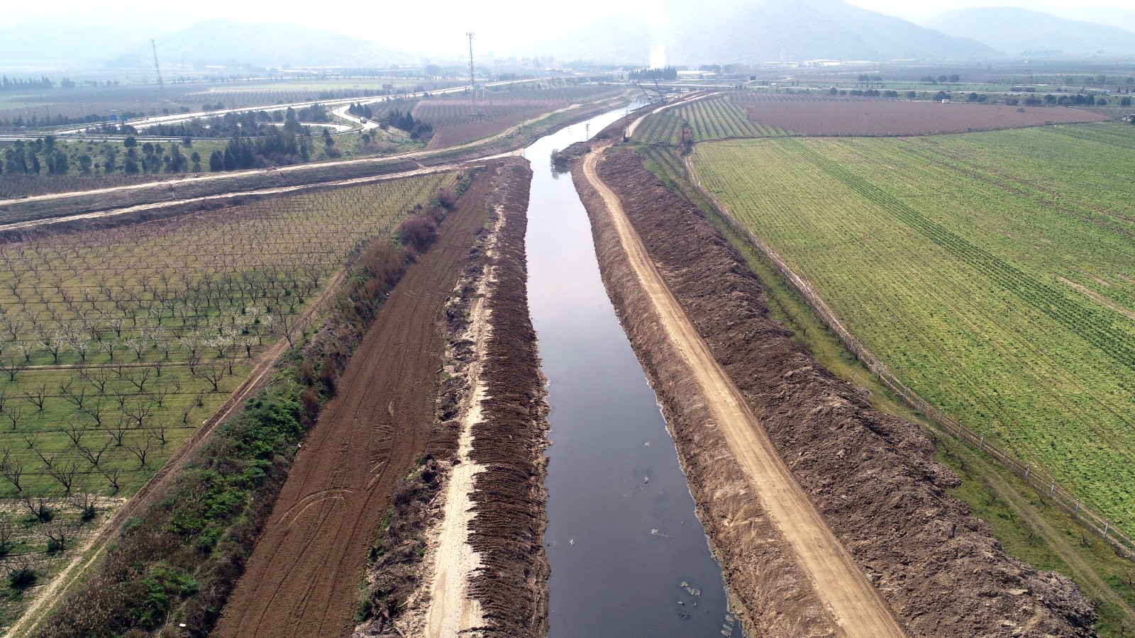 Belevi kanalına neşter