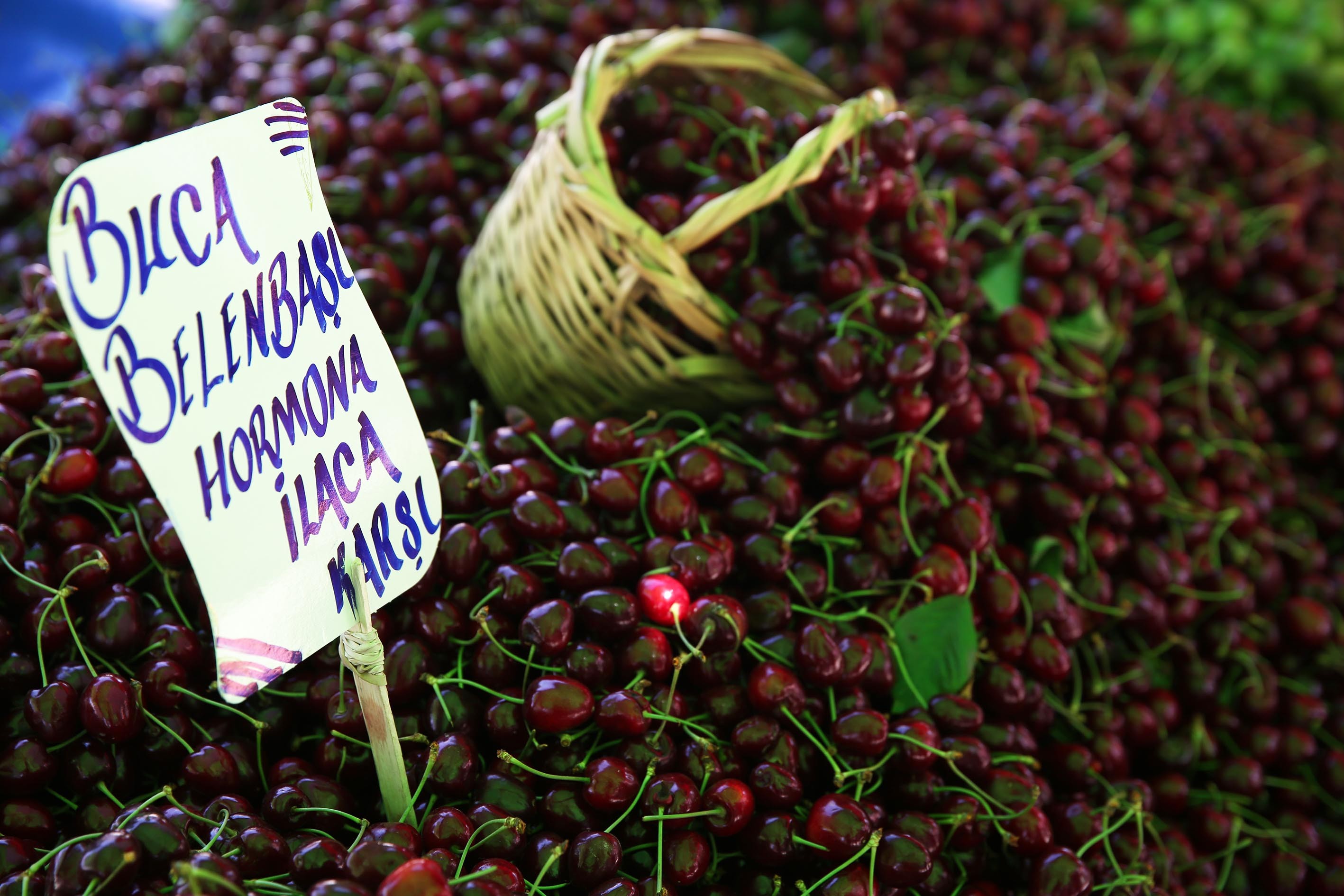 Buca Belenbaşı Kiraz Festivali başlıyor