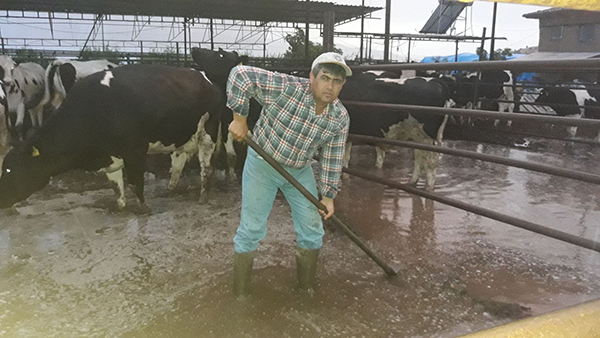 Ödemiş sele teslim