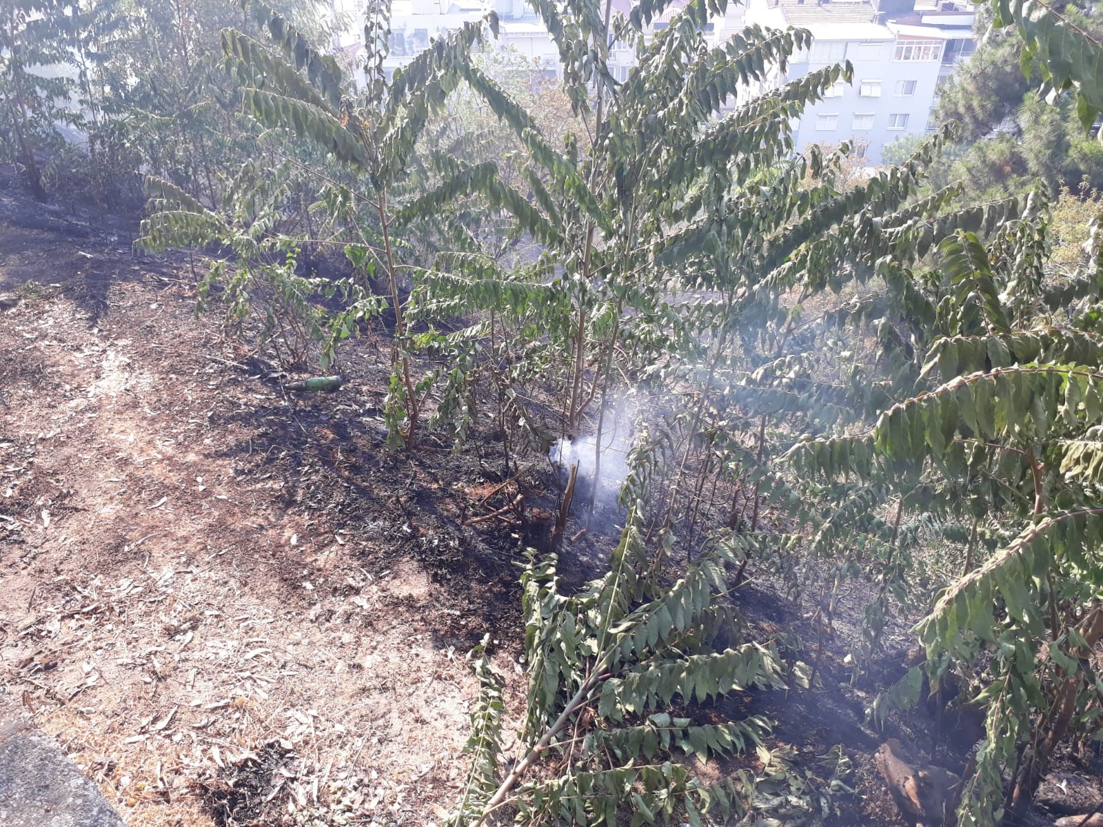 İzmir’de parkta korkutan yangın