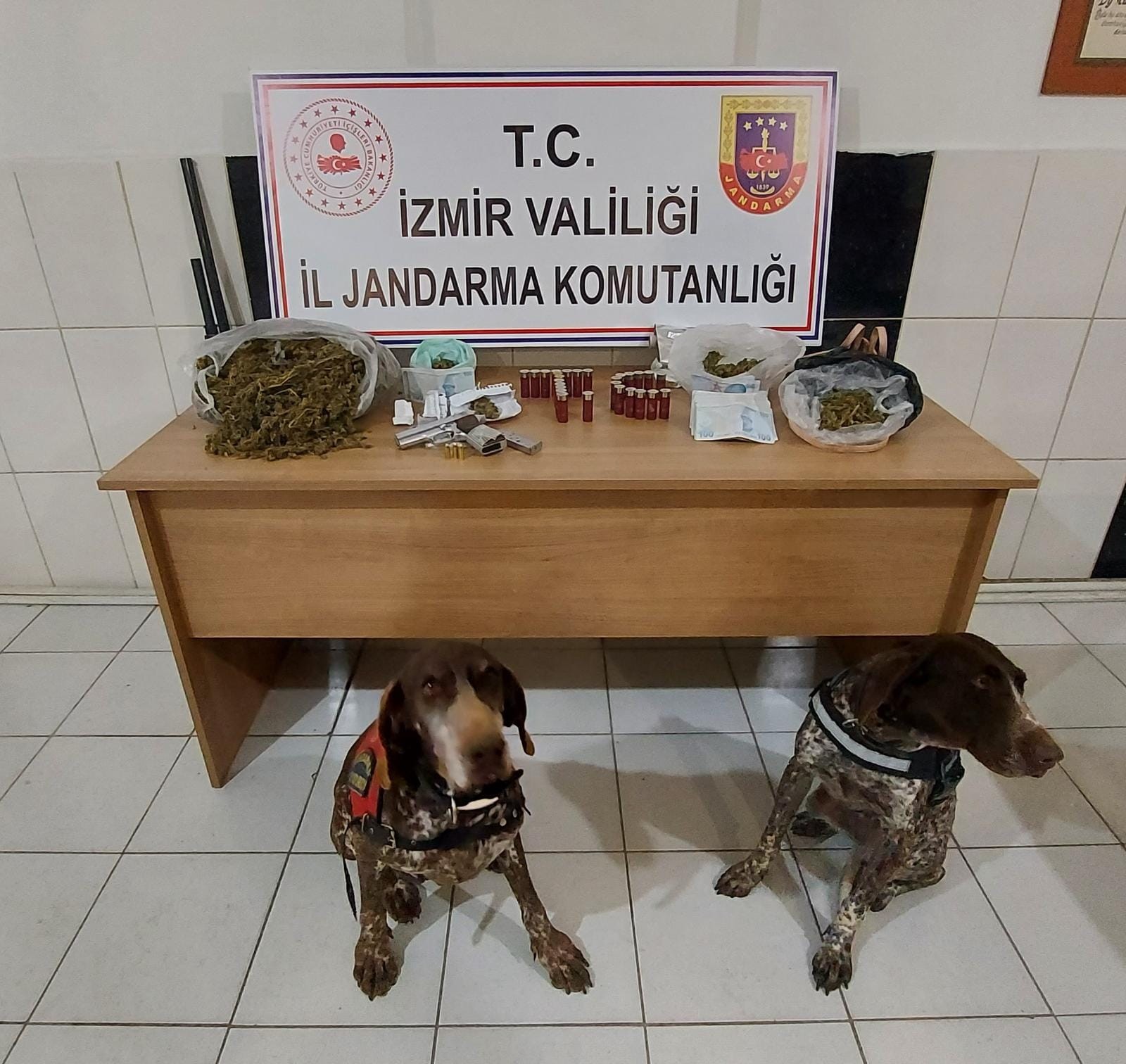 Narkotik dedektör köpekler, uyuşturucuların yerini tek tek buldu