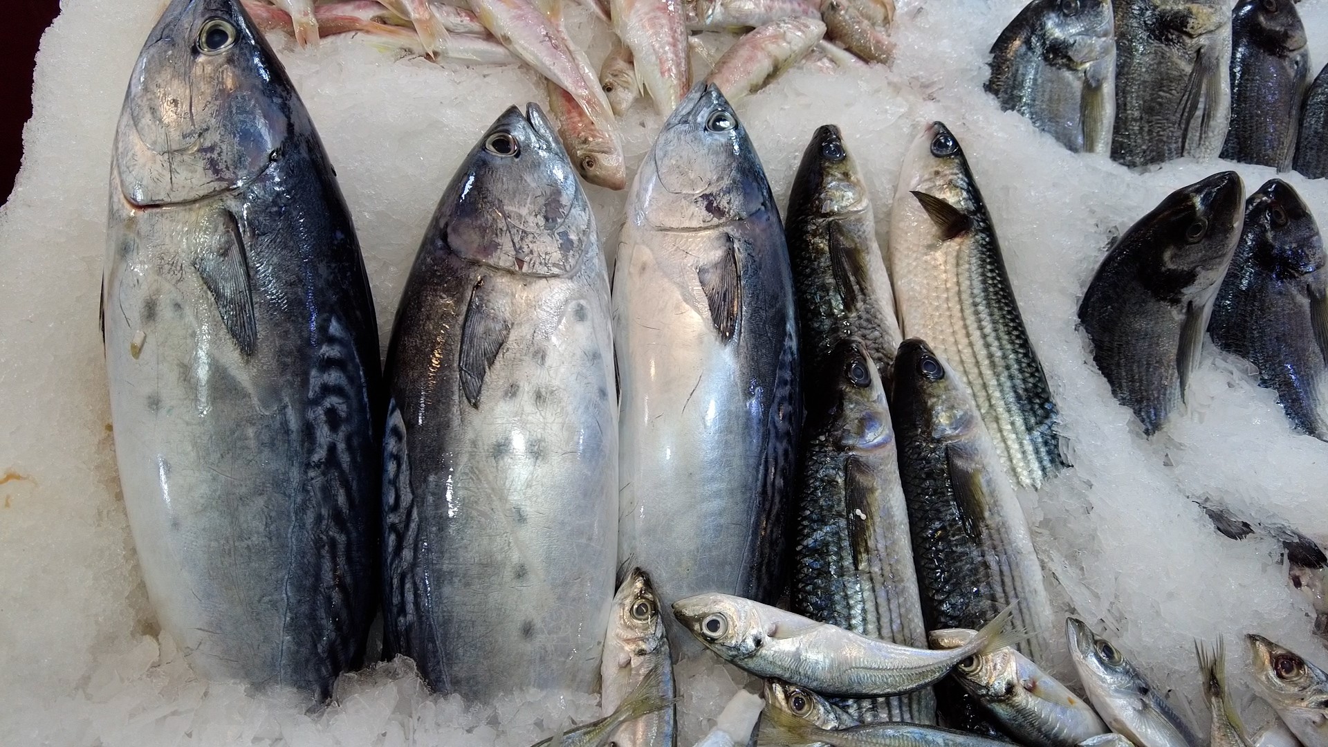 Sert hava koşulları balık fiyatlarını yükseltti