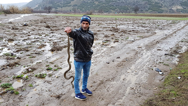Tire'de sel felaketi, bölgede kriz masası kuruldu