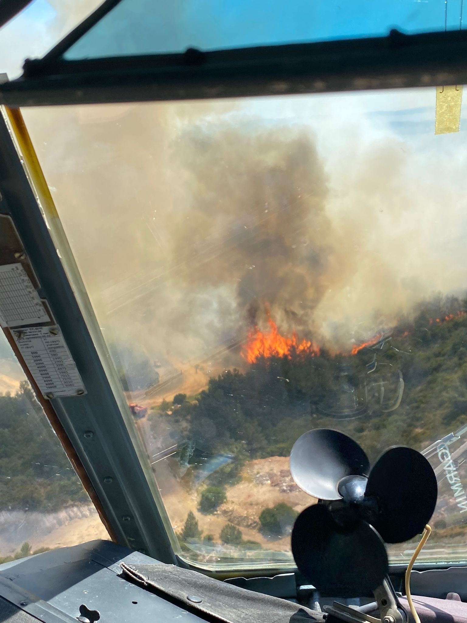 İzmir’in iki ilçesindeki orman yangınlarında 12 hektarlık alan zarar gördü
