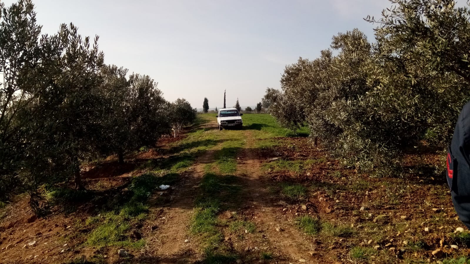 İzmir'de şüpheli ölüm: Araç içerisinde ölü bulundu