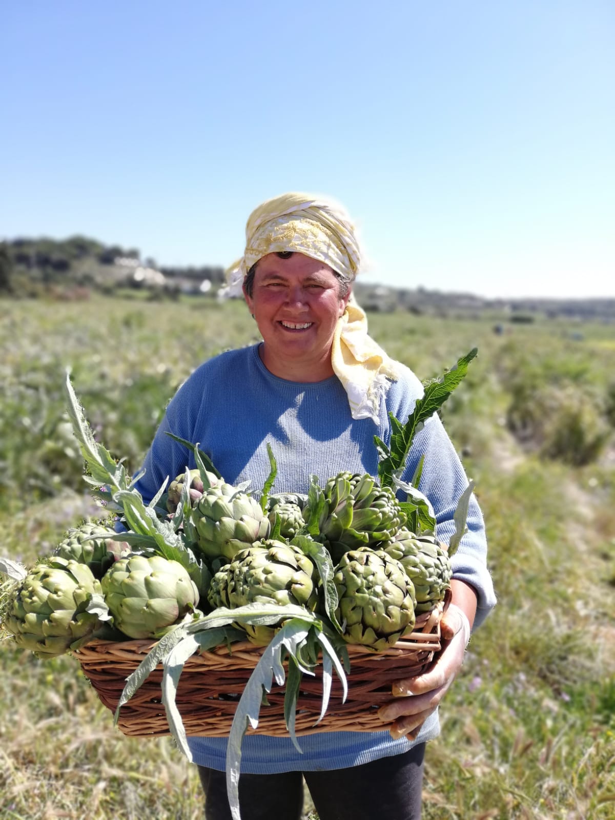 Ceyda Bölünmez Çankırı: Üreticiden Tüketiciye Çeşme Enginarı