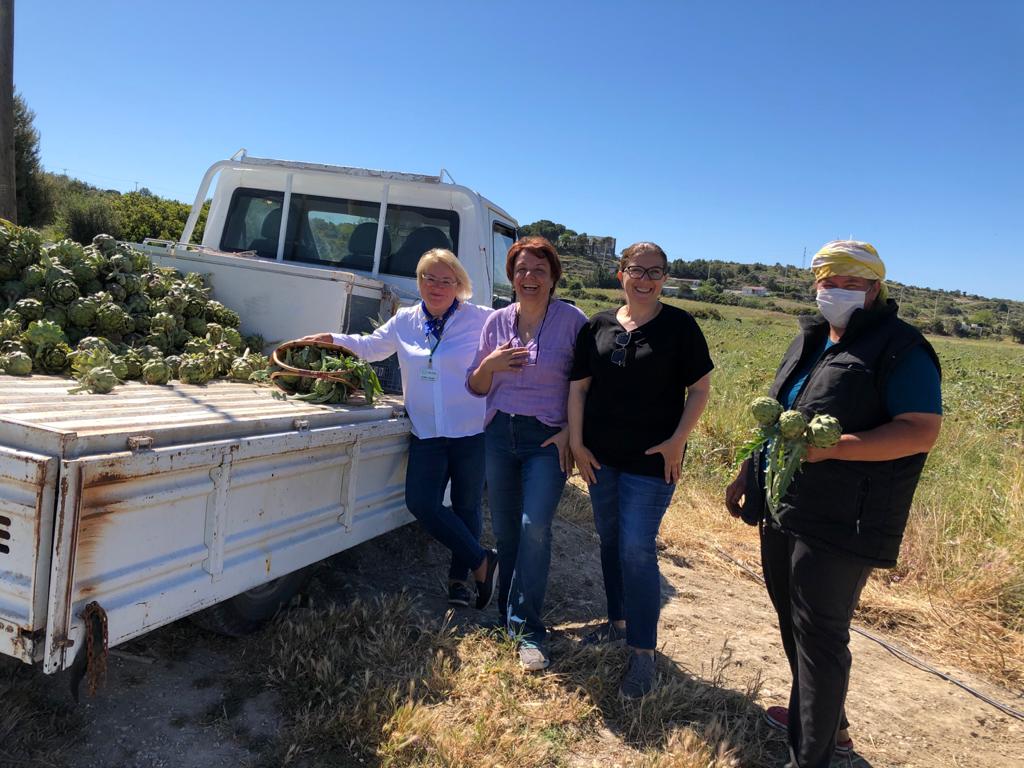 Ceyda Bölünmez Çankırı: Üreticiden Tüketiciye Çeşme Enginarı