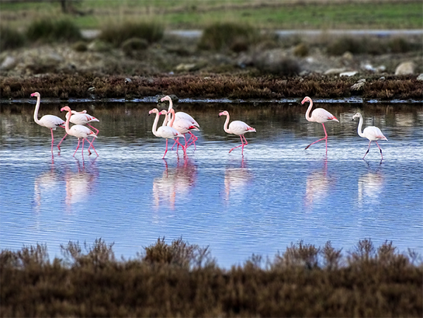 ALAÇATI DOĞA TURİZMİNDE DE İDDİALI