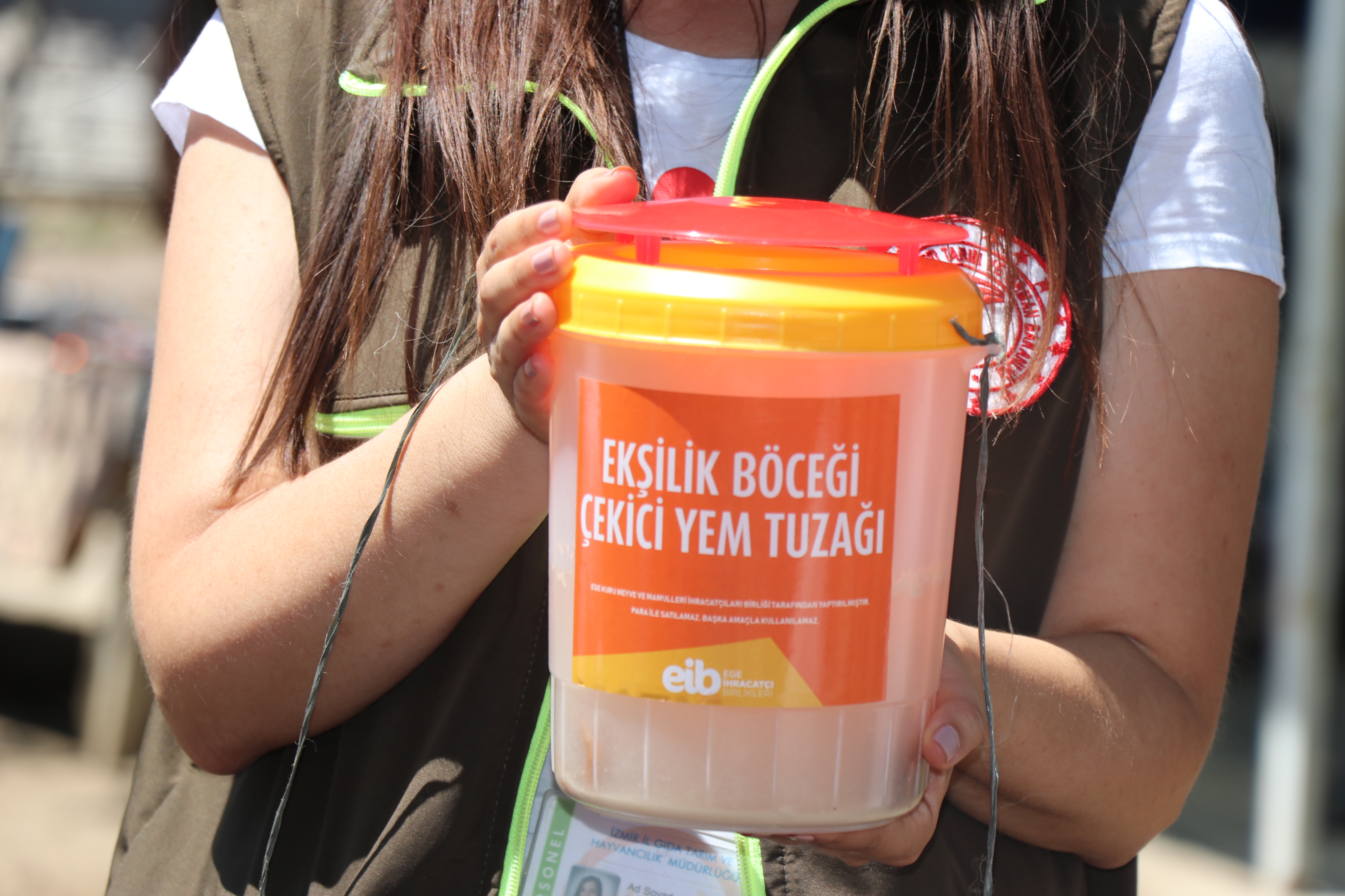 İncir Üreticilerine 5 Bin Adet Ekşilik Böceği Tuzağı