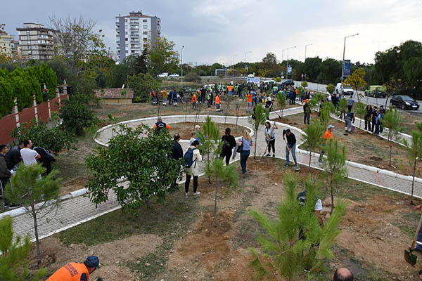 Narlıdere'de işçiler için 200 fidan