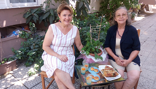 Sellukalar Sarsın Bahçelerimizi