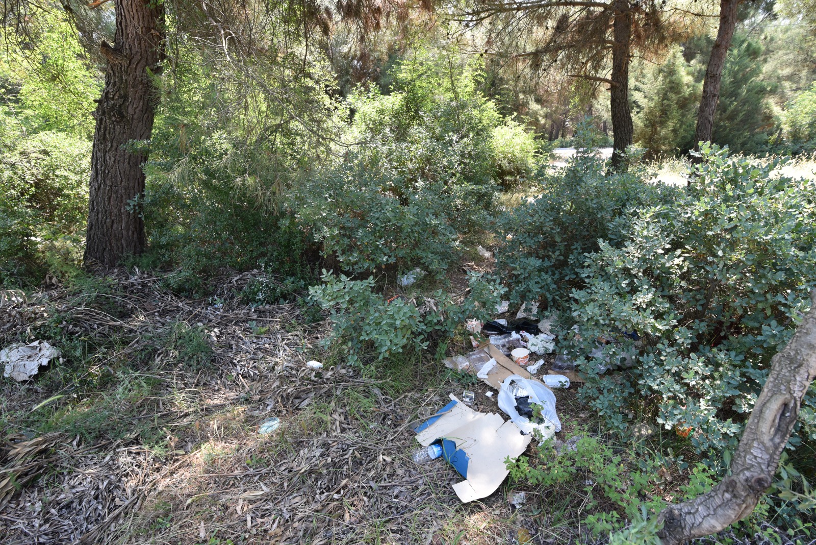 Torbalı’da ‘Temizlik Harekatı’ Belediye vatandaş ile el ele ormanları temizleyecek