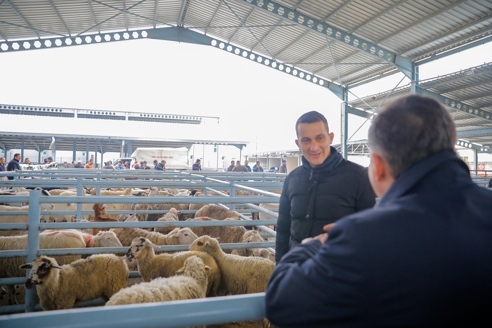 Başkan Adayı Doğruer : Tarımda olduğu gibi hayvancılıkta da marka olacağız
