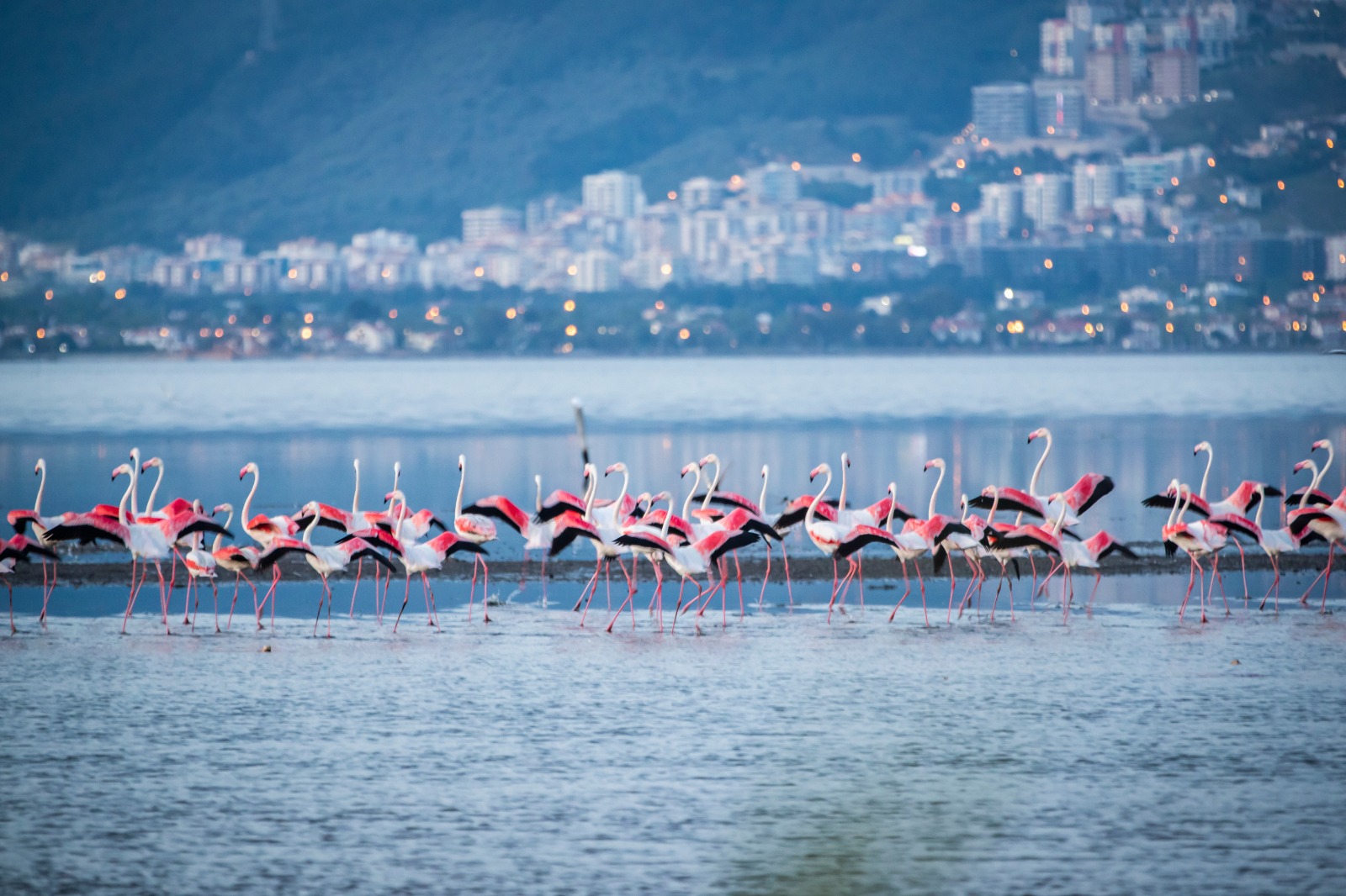 Soyer’den İzmir’in arıtma alanındaki liderliğini perçinleyecek adımlar