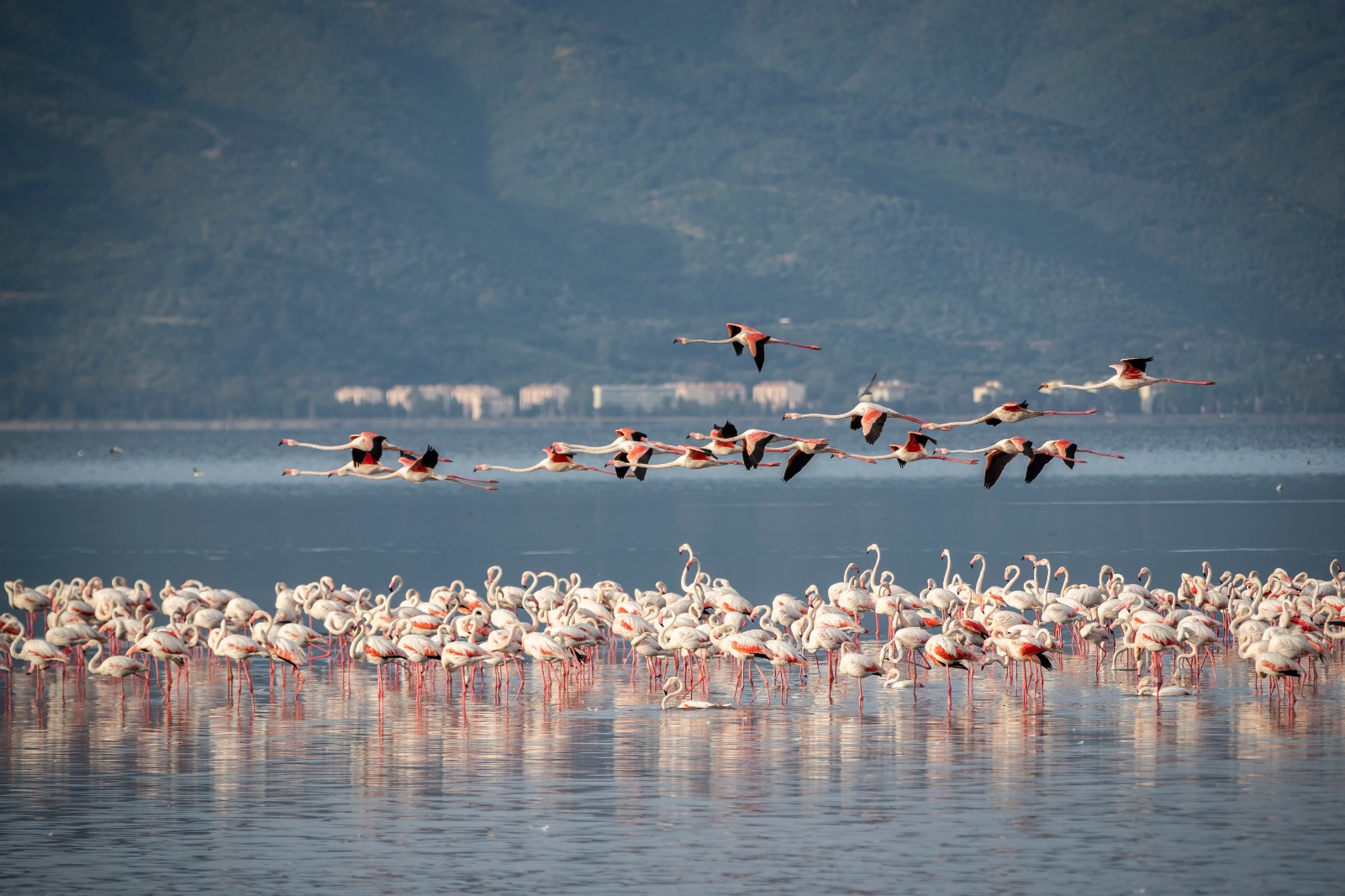 Soyer’den İzmir’in arıtma alanındaki liderliğini perçinleyecek adımlar