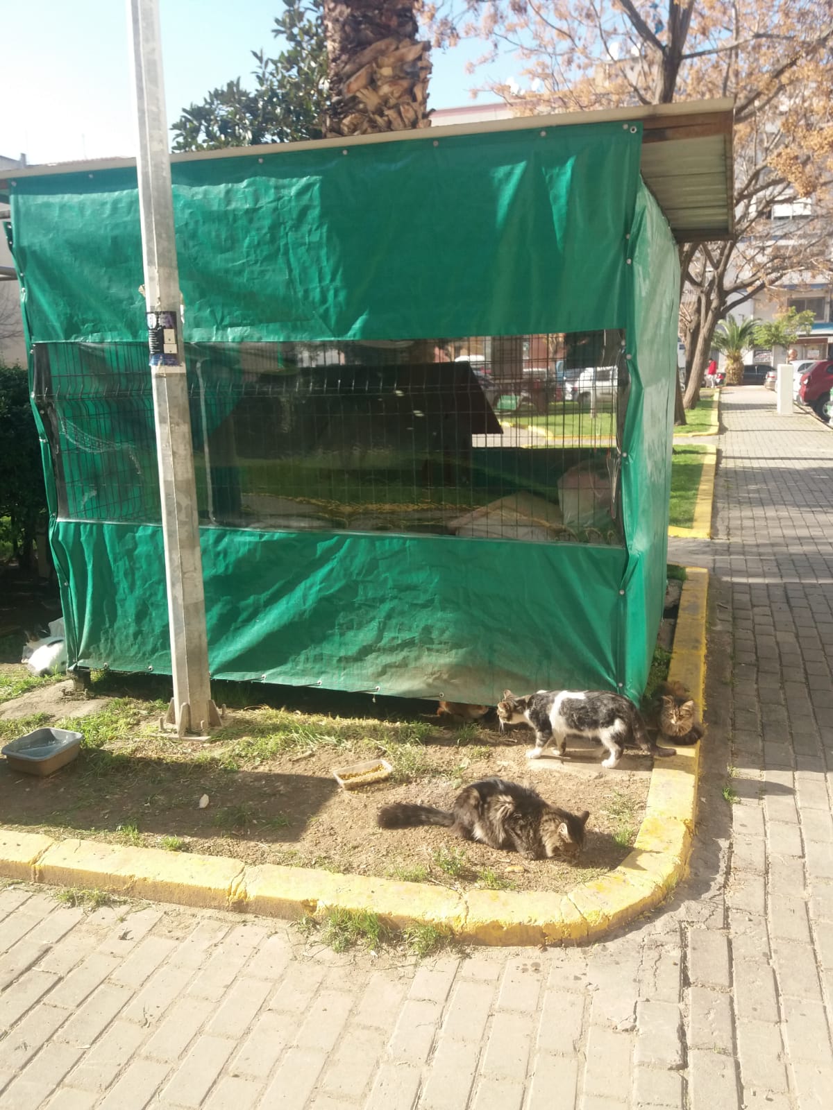 Abidin Tekin'in Kaleminden...