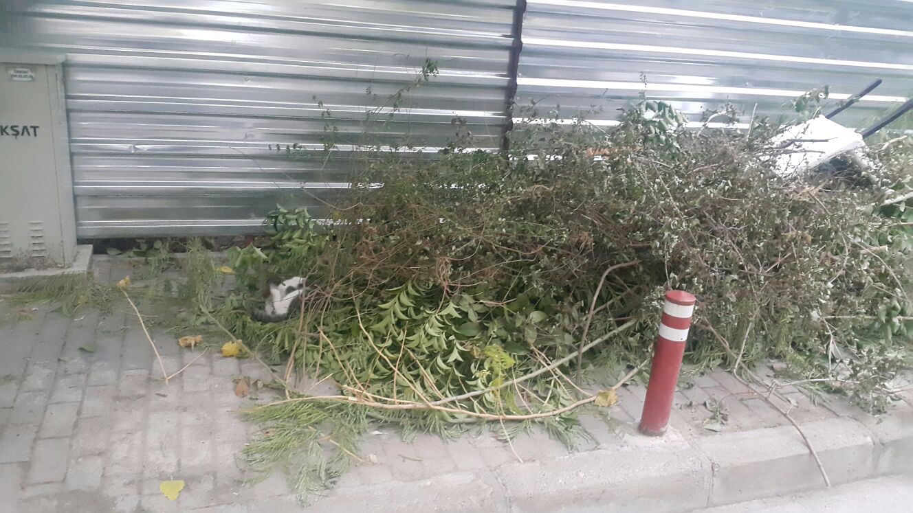 Karşıyaka’da Yürümek İmkansız