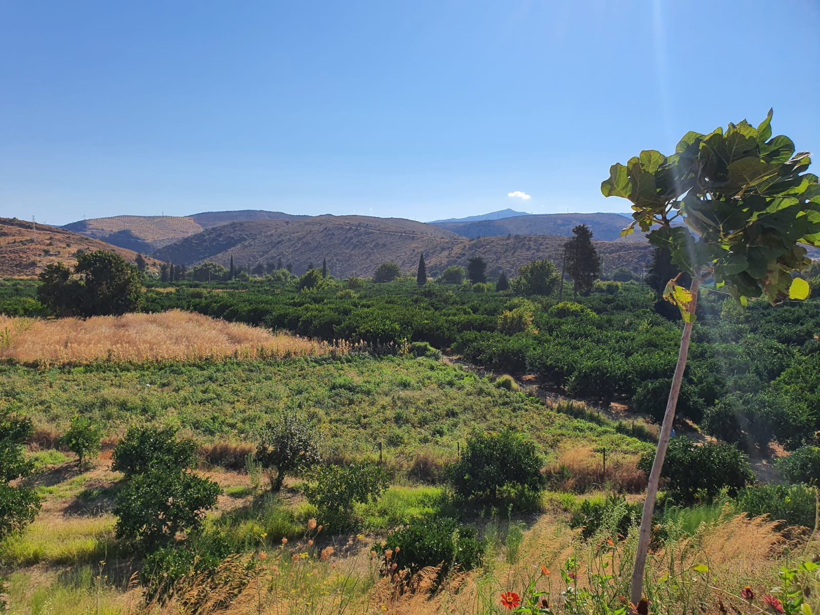 Salih Erkek Yazdı...