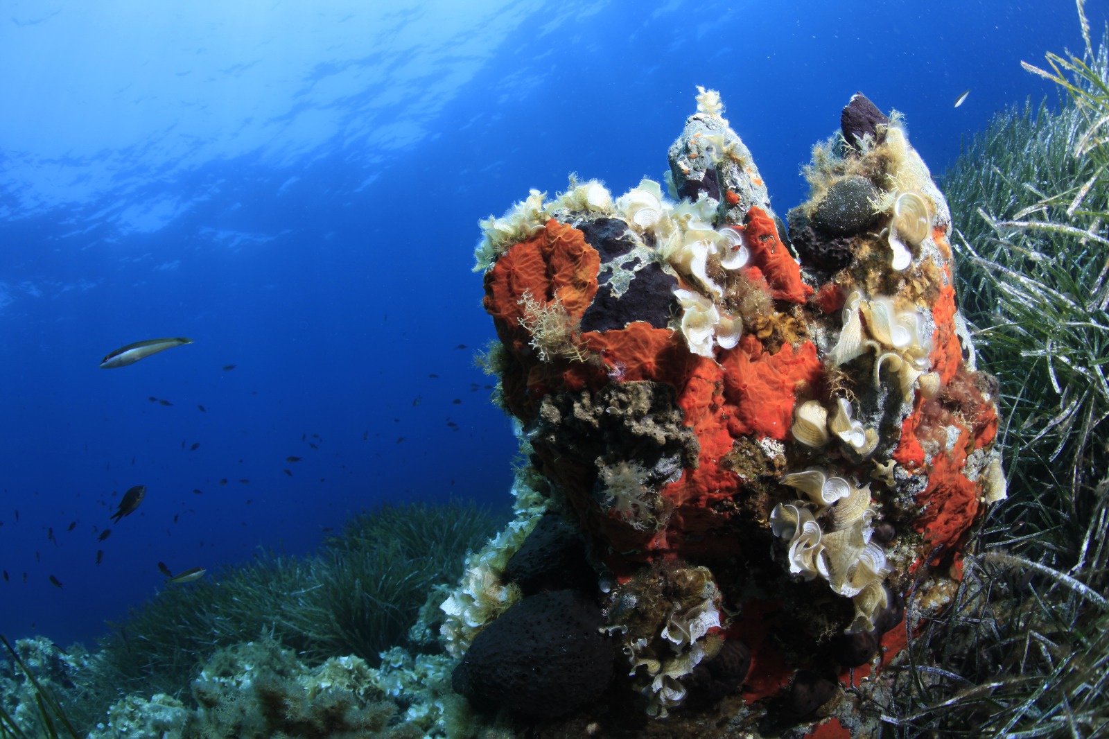 Soyer’den İzmir’in arıtma alanındaki liderliğini perçinleyecek adımlar