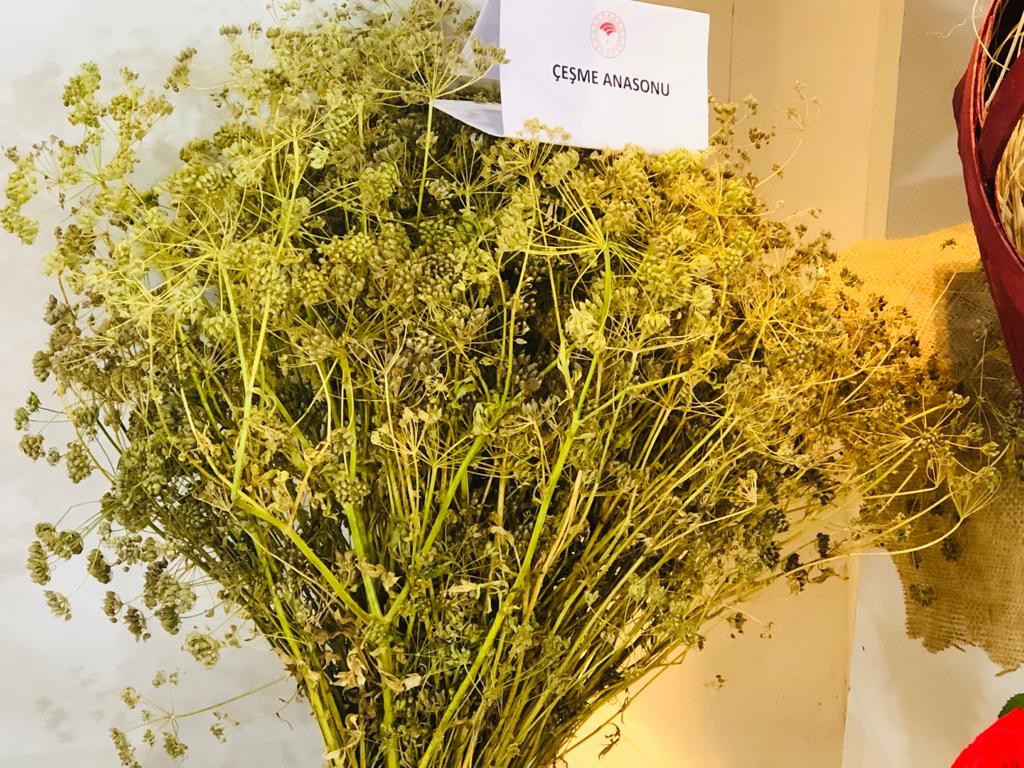 AK Partili Karataş’tan Çeşme Belediyesi’ne fuar çıkışı