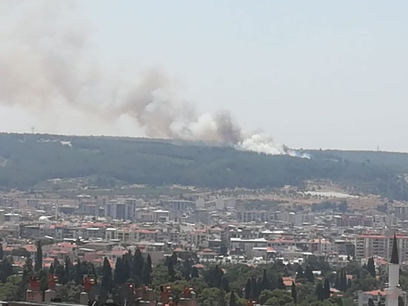 Buca'da orman yangını