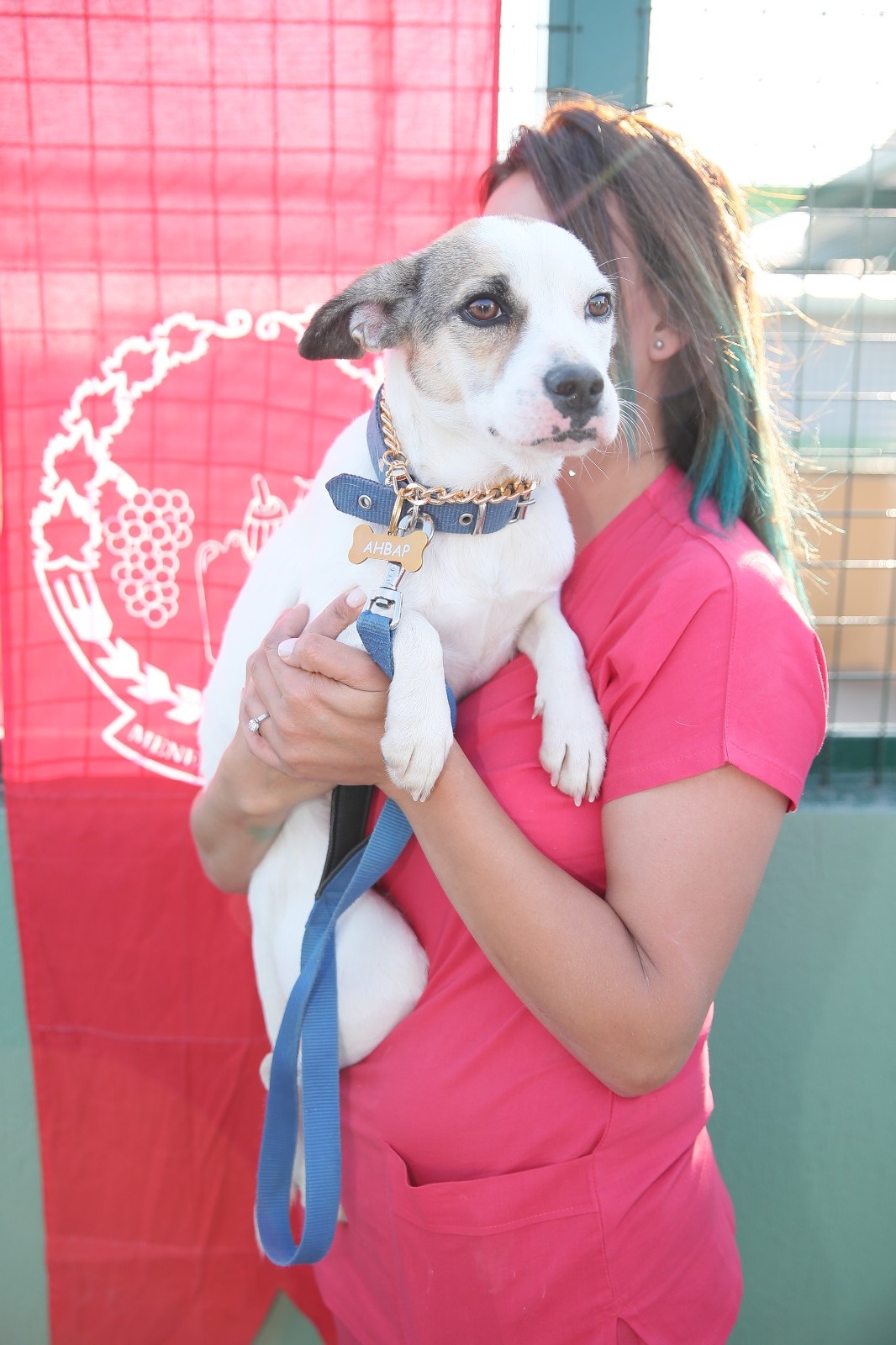 Patili Dostlar Menemen Belediyesi ile güvende