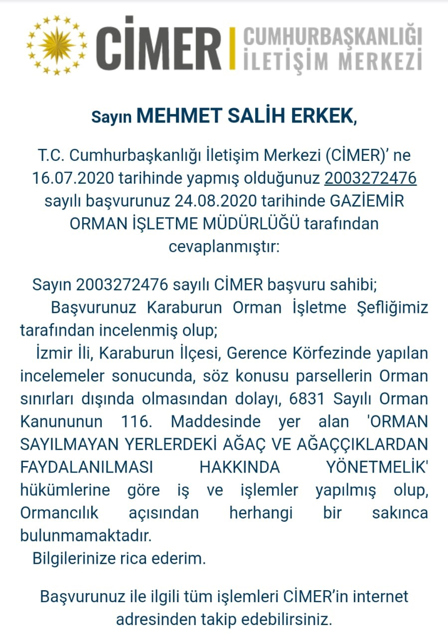 ORMAN İÇİNDEKİ ORMANI YOK SAYDILAR!