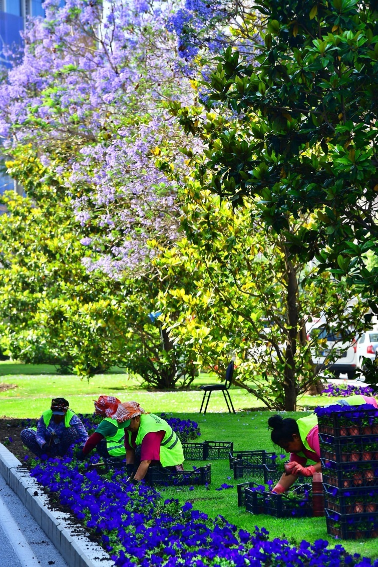 İzmir çiçek açtı