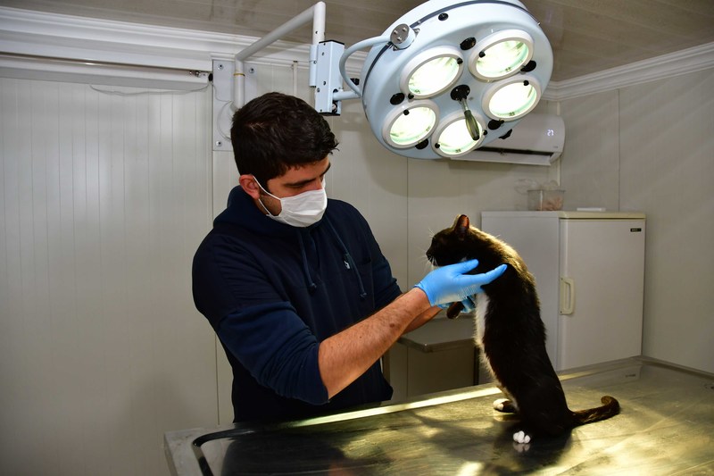 Narlıdere Belediyesi’nden satın alma sahiplen!