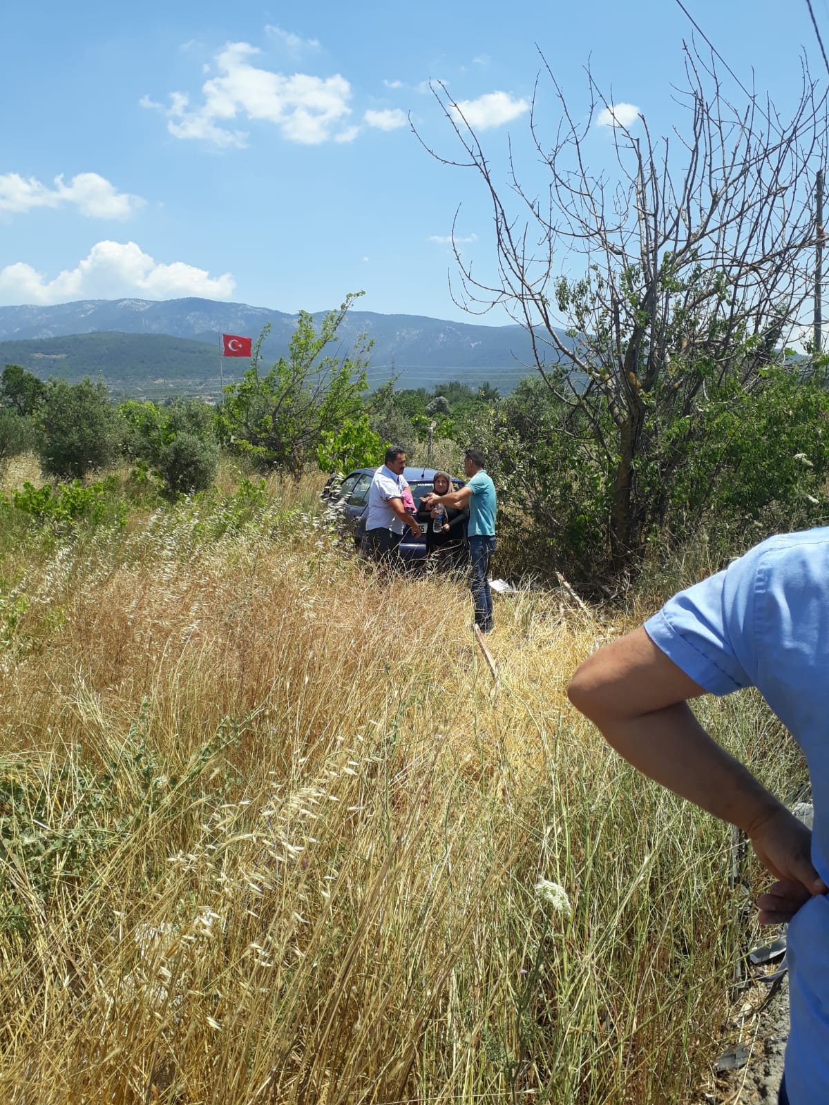 Kaynaklar'da trafik kazası…