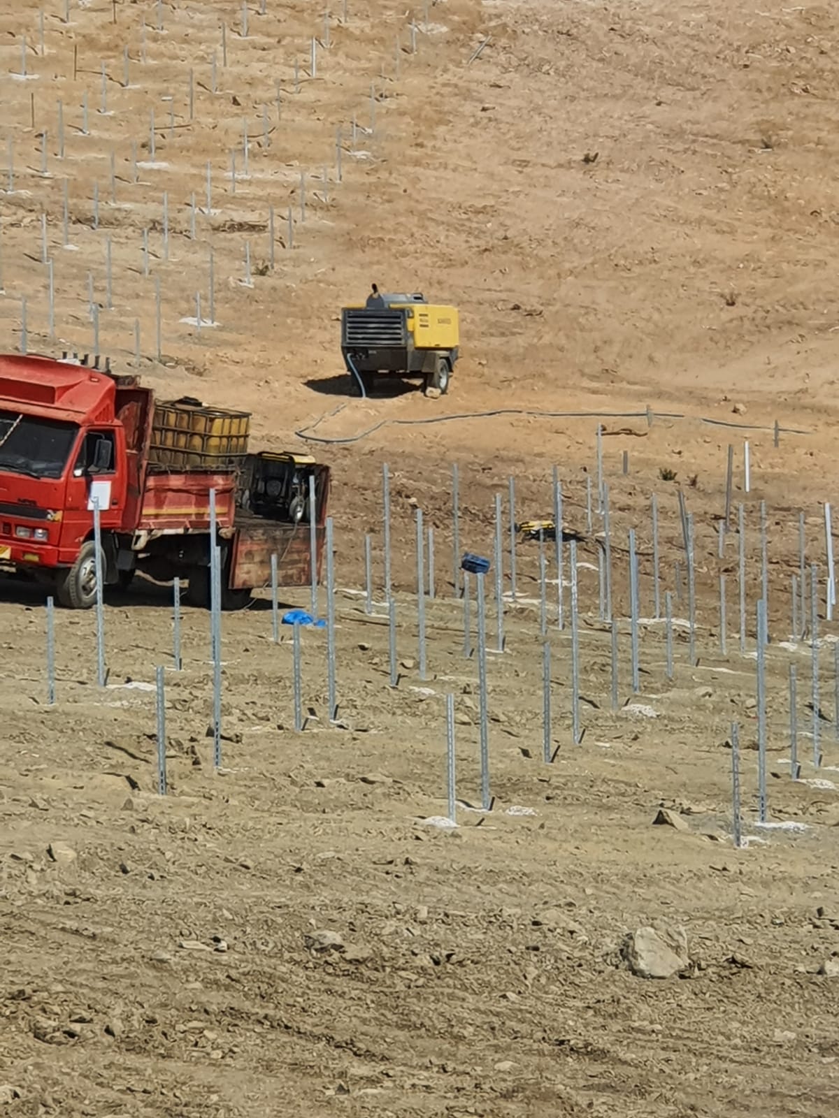 YÜZLERCE AĞACI KATLETTİLER YERİNE KAZIK BORULARI DİKTİLER