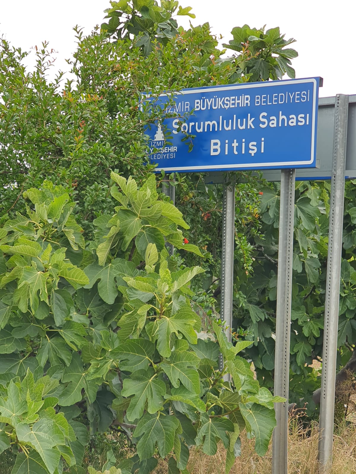 BÖYLEYDİ / BÖYLE OLDU!