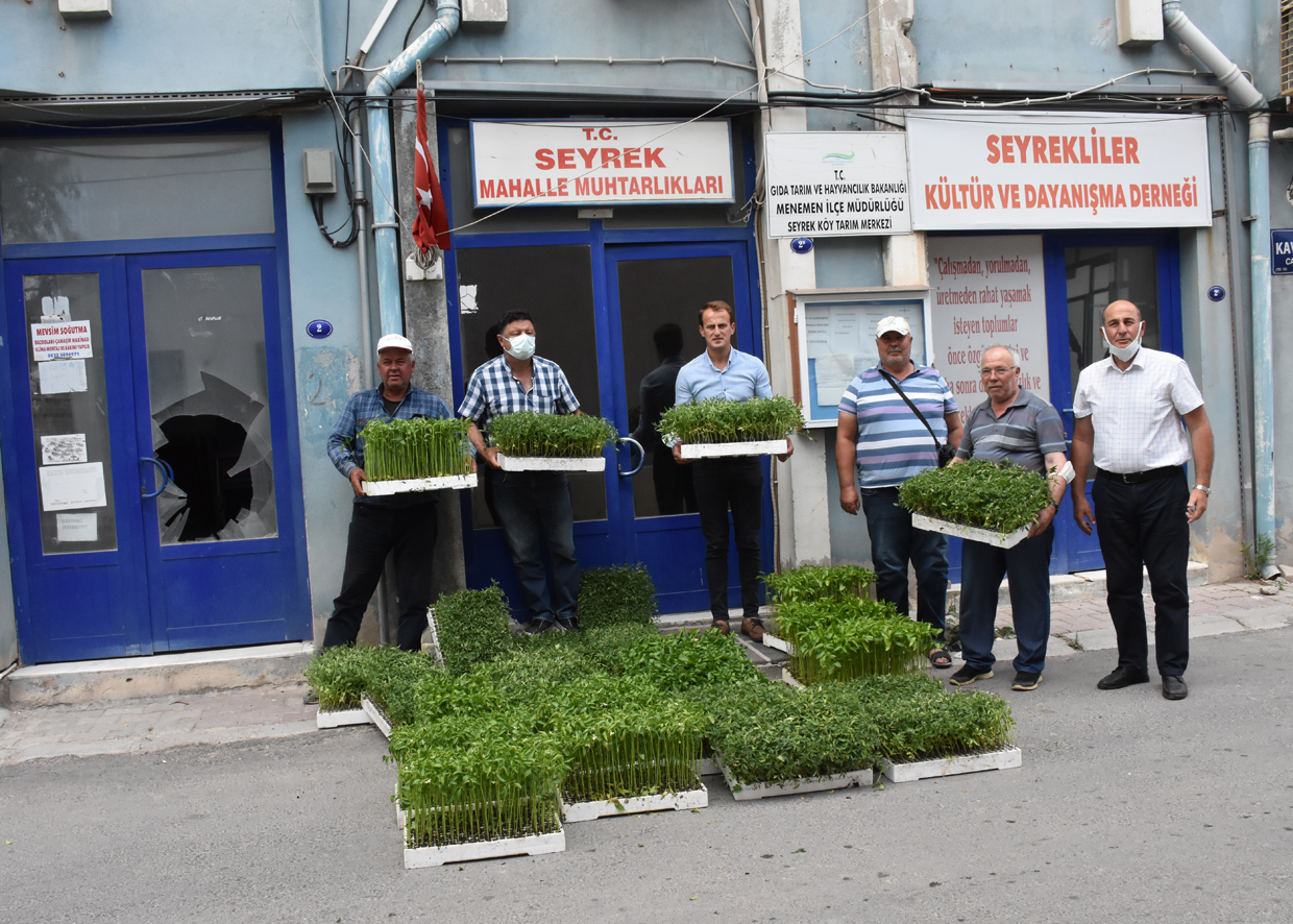 Menemen'de yerli tohumlar toprakla buluştu