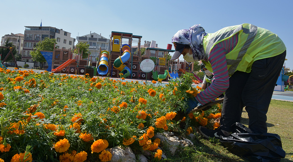 Aliağa Belediyesi, peyzaj çalışmalarıyla kentin çehresini güzelleştirmeye ve renklendirmeye devam ediyor.