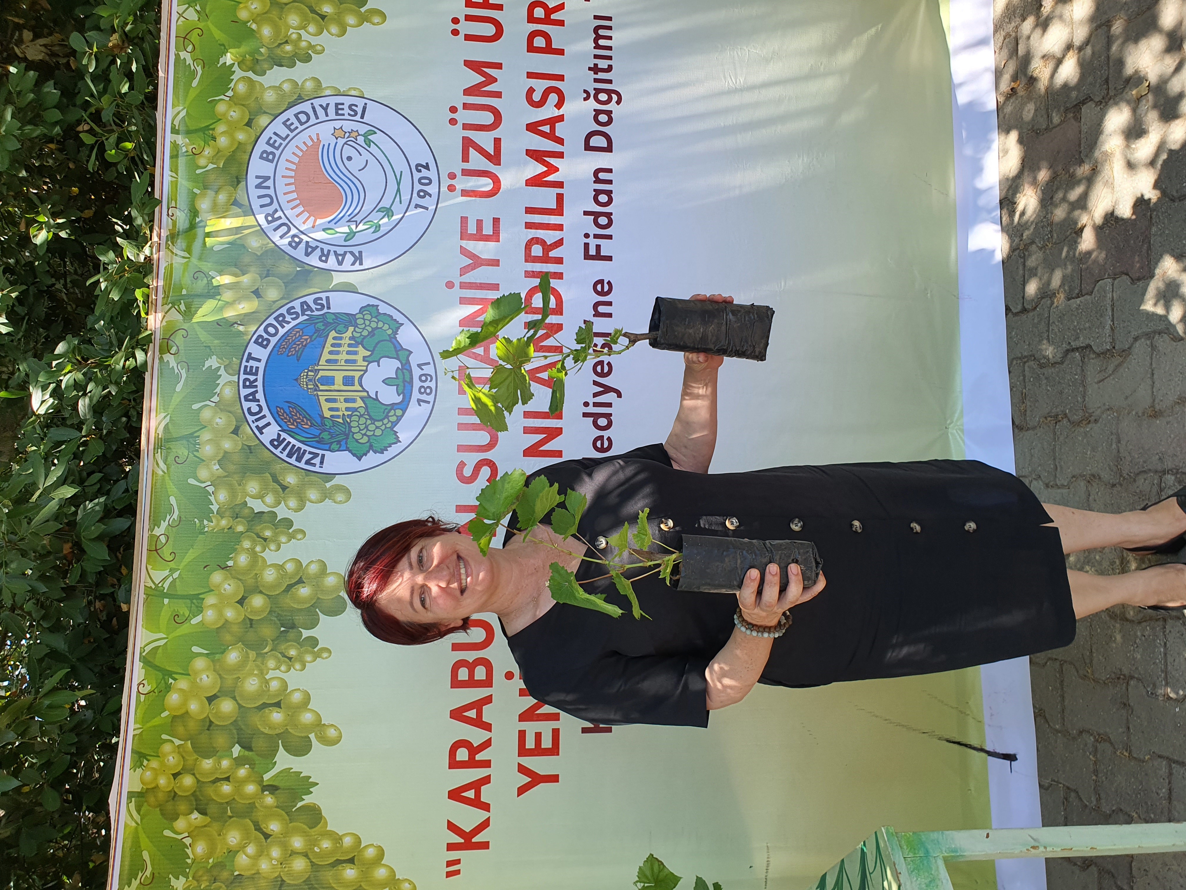 Karaburun’da bağcılık yeniden canlanıyor…