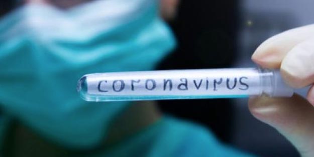 Salih Erkek yazdı...