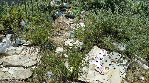 ATAMIZA SAYGISIZLIĞA VATANDAŞ TEPKİSİ!