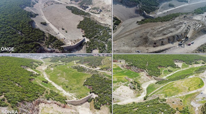 Orman İzmir Kampanyasında kaç fidan dikildi?