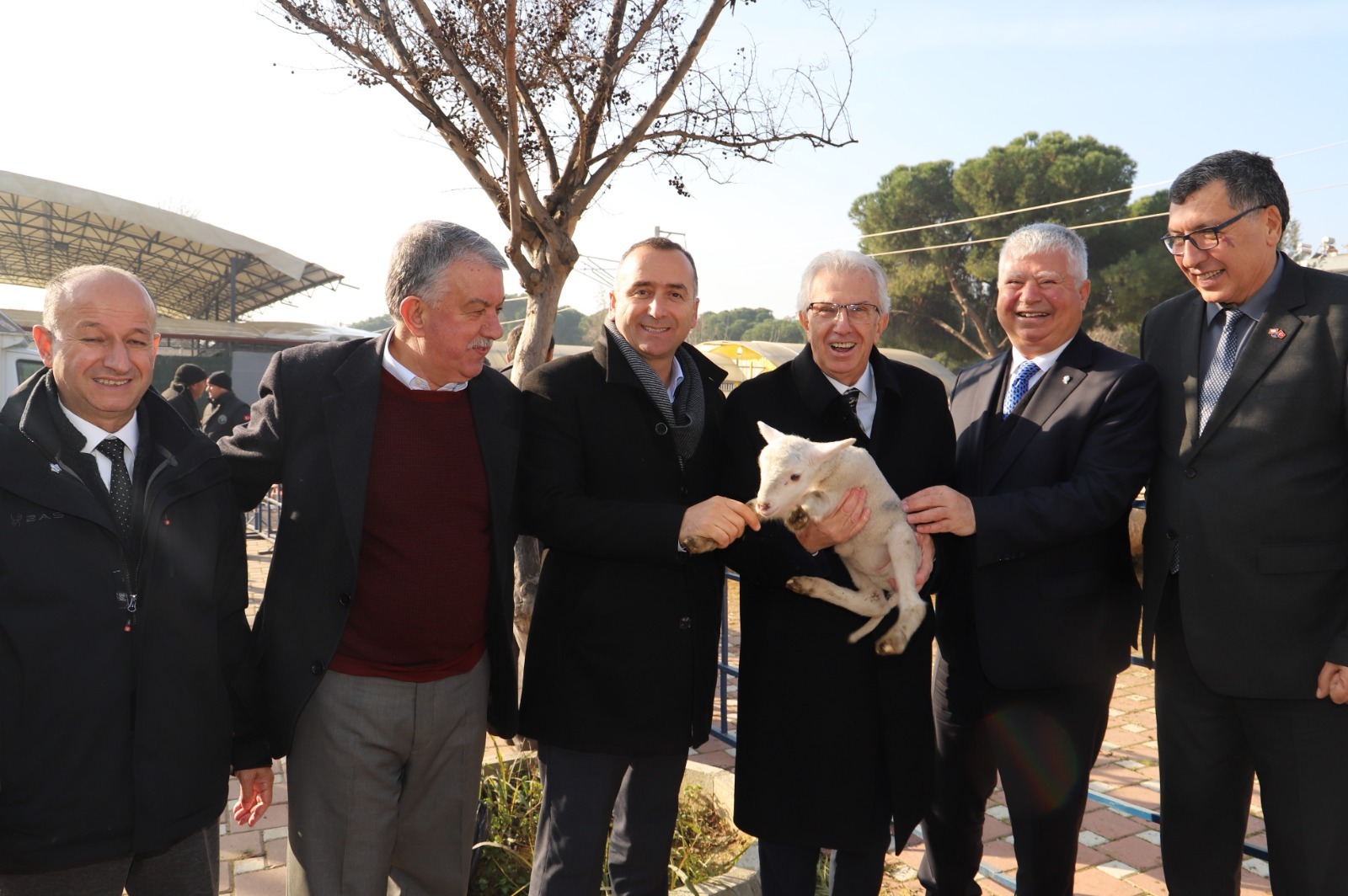 Büyükşehir’in Ödemiş’te dağıttığı küçükbaş sayısı 2 bini aştı